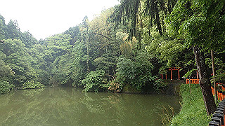 p5163484_thumb.jpg