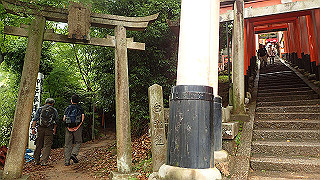 p5163510_thumb.jpg