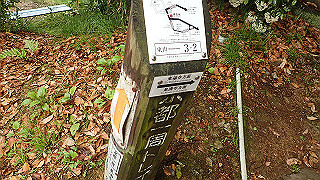 p5163511_thumb.jpg