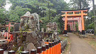p5163518_thumb.jpg