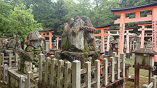 p5163519_thumb.jpg