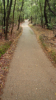 p5163522_thumb.jpg