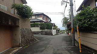 p5163527_thumb.jpg