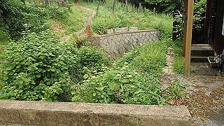 p5163528_thumb.jpg