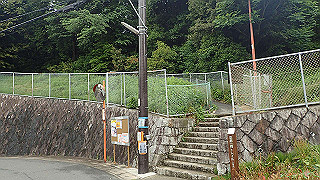 p5163530_thumb.jpg