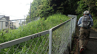 p5163532_thumb.jpg