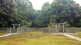 p5163534_thumb.jpg