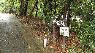 p5163537_thumb.jpg