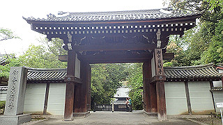 p5163544_thumb.jpg
