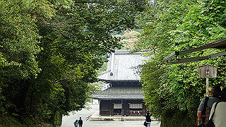 p5163548_thumb.jpg