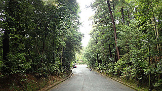 p5163549_thumb.jpg
