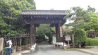 p5163554_thumb.jpg