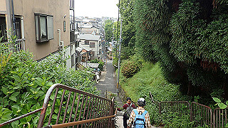 p5163556_thumb.jpg