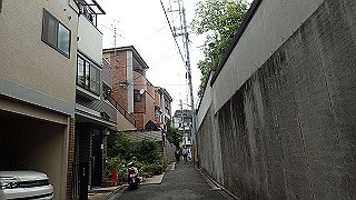 p5163557_thumb.jpg