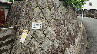 p5163566_thumb.jpg