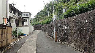 p5163567_thumb.jpg