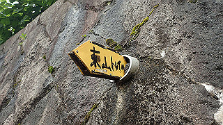 p5163570_thumb.jpg