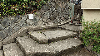 p5163573_thumb.jpg