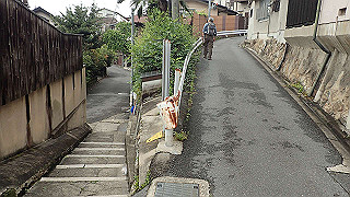 p5163574_thumb.jpg