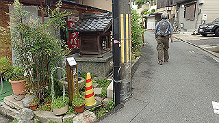 p5163575_thumb.jpg