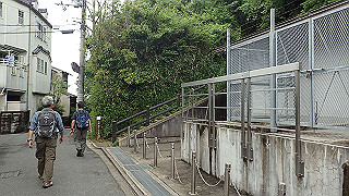 p5163578_thumb.jpg