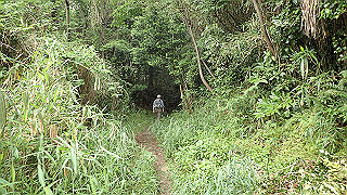 p5163581_thumb.jpg