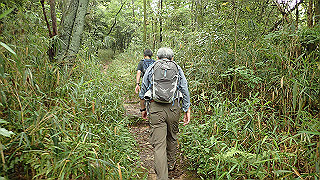 p5163585_thumb.jpg