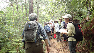 p5163589_thumb.jpg