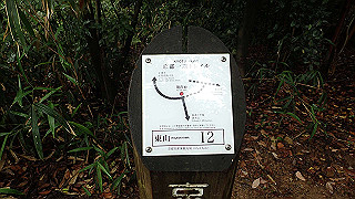 p5163592_thumb.jpg