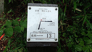 p5163596_thumb.jpg
