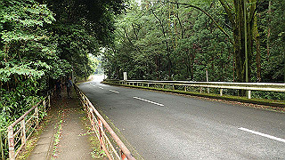 p5163598_thumb.jpg