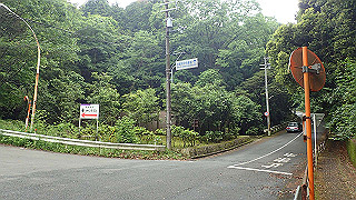 p5163601_thumb.jpg