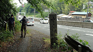 p5163604_thumb.jpg