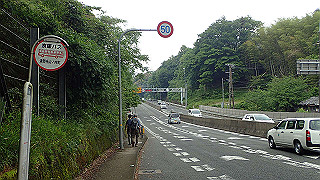 p5163609_thumb.jpg