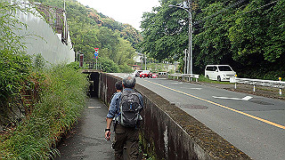 p5163613_thumb.jpg