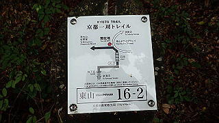 p5163627_thumb.jpg