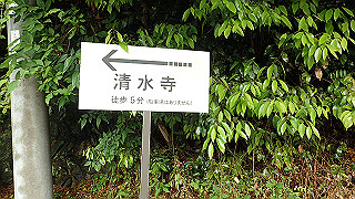p5163628_thumb.jpg