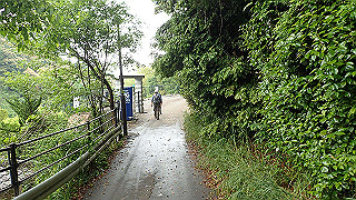 p5163629_thumb.jpg