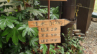 p5163632_thumb.jpg
