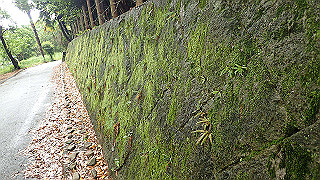 p5163634_thumb.jpg