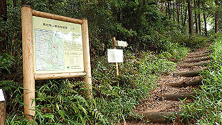 p5163637_thumb.jpg