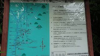 p5163638_thumb.jpg