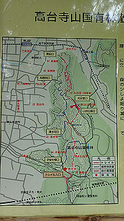 p5163641_thumb.jpg
