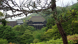 p5163650_thumb.jpg