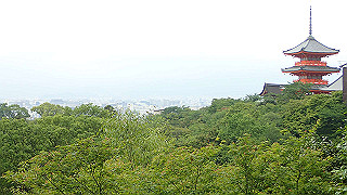 p5163656_thumb.jpg