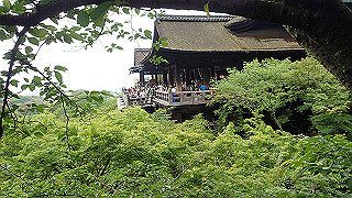 p5163669_thumb.jpg