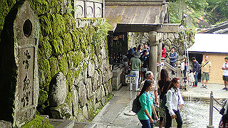 p5163679_thumb.jpg