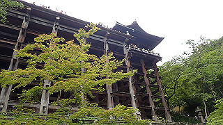 p5163683_thumb.jpg