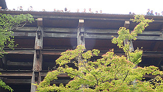 p5163684_thumb.jpg