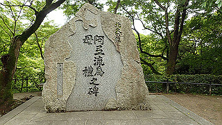 p5163687_thumb.jpg
